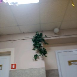  , -, 37  -  20  2020