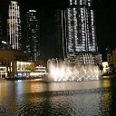 ������� ����� �� ������� ���� ����������