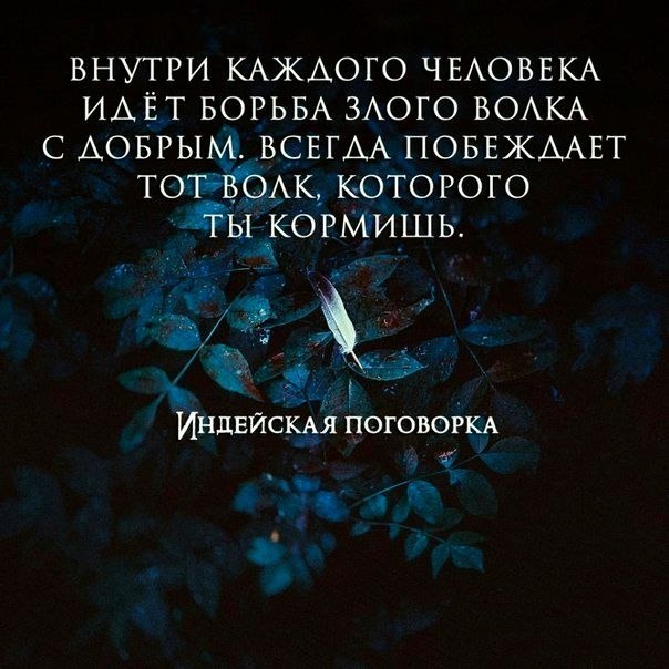 ������� ������ ������� ����� - 22 ������ 2020 � 19:07