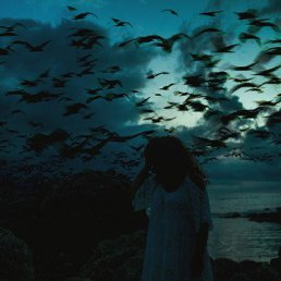 ������, ������, 23 ����