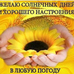 ���� ������, ��������� - ��������� 8 ��� 2020