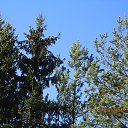 ���� ��������, Kouvola, 78 ��� - ��������� 22 ����� 2020 � ������ ��� ����...�