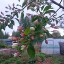  , , 41  -  23  2020      )))