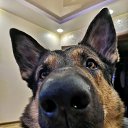 ���� Tina, �������� - ��������� 6 ������ 2020 � ������ ���� ����������