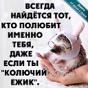 ���� ��������, ���������, 54 ���� - ��������� 9 ������� 2020 � ������ ������
