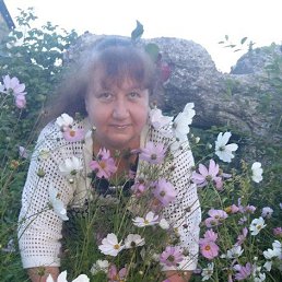 ���� ������, ����-���������, 55 ��� - ��������� 20 ������ 2020