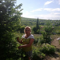 ���� ����, ����-�����������, 56 ��� - ��������� 21 ���� 2020