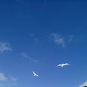 ���� ����, ����-���������, 36 ��� - ��������� 26 ���� 2020 � ������ ���� ����������