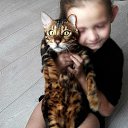 ���� Andrey, ���������, 46 ��� - ��������� 17 ������� 2020 � ������ ������ ��������