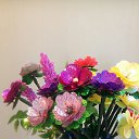���� �������, �������� - ��������� 23 ����� 2020 � ������ ������ ��������