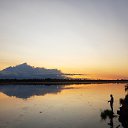 ���� ��������, �����������, 31 ��� - ��������� 16 ��� 2020 � ������ ���� ����������