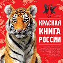 ���� ����, ��������, 51 ��� - ��������� 28 ������ 2020