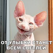 �������, 44 ����, ����� �������