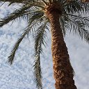 ���� ��������, ������, 50 ��� - ��������� 30 ������ 2020 � ������ ���� ����������