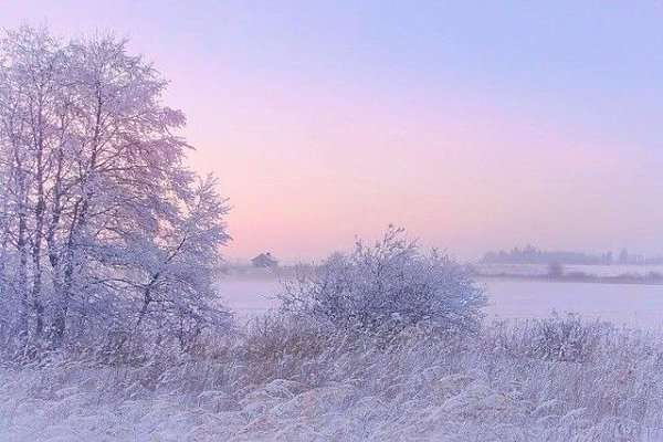 ������ ������� ������ | ����������� - 24 ����� 2020 � 19:06 - 5