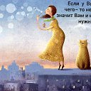 ���� ���, ��������, 54 ���� - ��������� 6 ��� 2020
