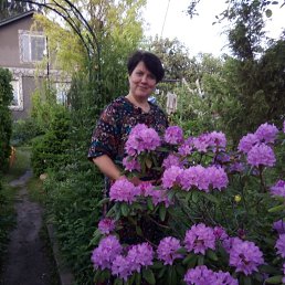 ����, �������, 57 ���