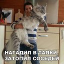 ���� ����, ������� - ��������� 13 ������� 2020 � ������ �������