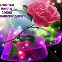 ���� �����, ������, 41 ��� - ��������� 26 ���� 2020 � ������ ���������