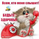 ���� ������, �������, 62 ���� - ��������� 14 ������ 2020 � ������ ���� ����������