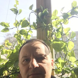 ������, ������, 50 ���