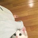���� ������, ���������, 30 ��� - ��������� 17 ������� 2020 � ������ ���� ����������