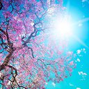 ���� �����, ����������� - ��������� 23 ������ 2020 � ������ ������ ��������