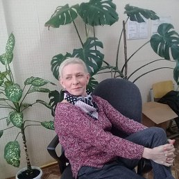 ����, ���������