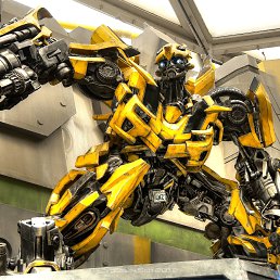 ���� �����������, ������, 35 ��� - ��������� 14 ������ 2020