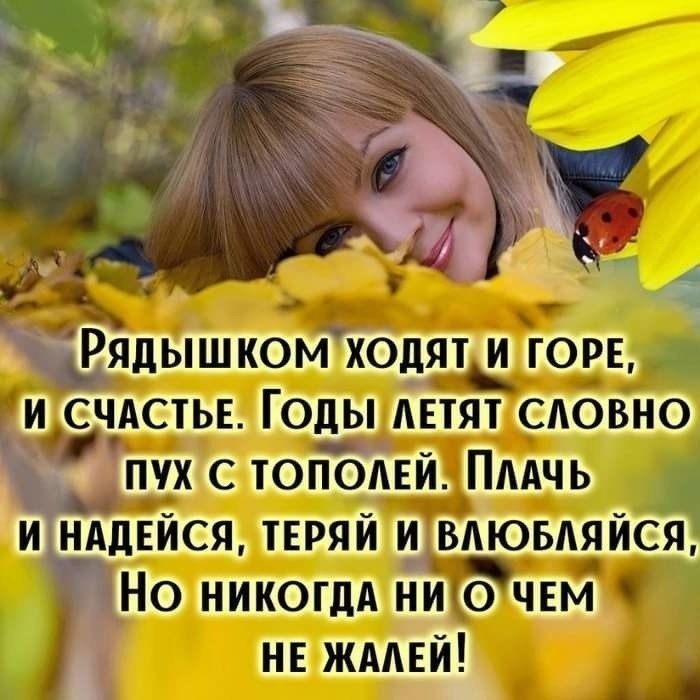   ,    . - 28  2020  13:09