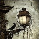 ���� ����, ������������, 50 ��� - ��������� 3 ��� 2020 � ������ ���� ����������