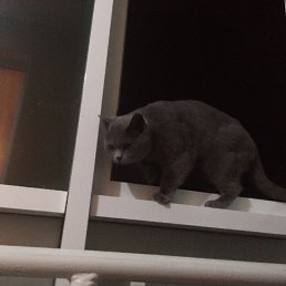 ���� ����, ������, 28 ��� - ��������� 10 ��� 2020