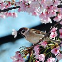 ���� Wonderland, ������ - ��������� 1 ����� 2020 � ������ ������ ��������