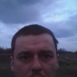 ����, ����, 41 ���