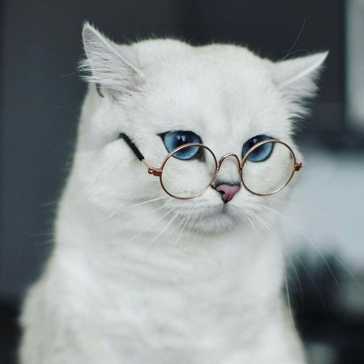     ?  .