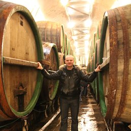 �������, ������, 39 ���