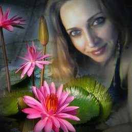 , 44, -