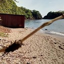 ���� �������, ���, 39 ��� - ��������� 4 ���� 2020 � ������ �������