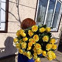 ���� �������, ���������� - ��������� 10 ����� 2020 � ������ ���� ����������