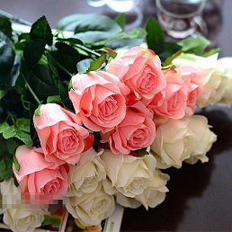 �������, �����, 53 ����