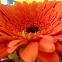 ���� ����, ����������� - ��������� 3 ��� 2020 � ������ ���� ����������