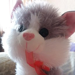 ���� �����, ������, 55 ��� - ��������� 28 ������� 2020