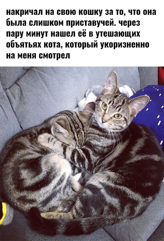 E s t h e t i q u e - 20  2020  18:54