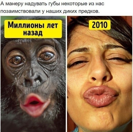        - 5