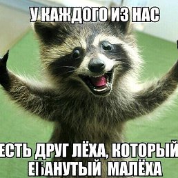 ���� ����������, ������, 42 ���� - ��������� 28 ����� 2020
