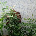 ���� ����, �������, 49 ��� - ��������� 8 ������� 2020 � ������ ��������� ��������