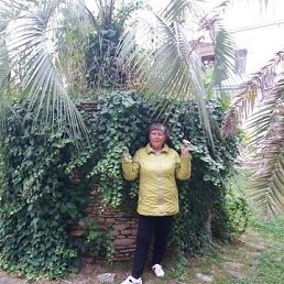 ���� ��ria, ������ - ��������� 13 ����� 2020