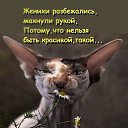 ���� �������, �����, 62 ���� - ��������� 10 ����� 2020 � ������ ���� ����������