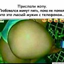 ���� �������, ����� - ��������� 31 ������ 2020 � ������ ������ ��������