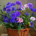 ���� Lydia-m, ��������, 58 ��� - ��������� 6 ������ 2020 � ������ ���� ����������